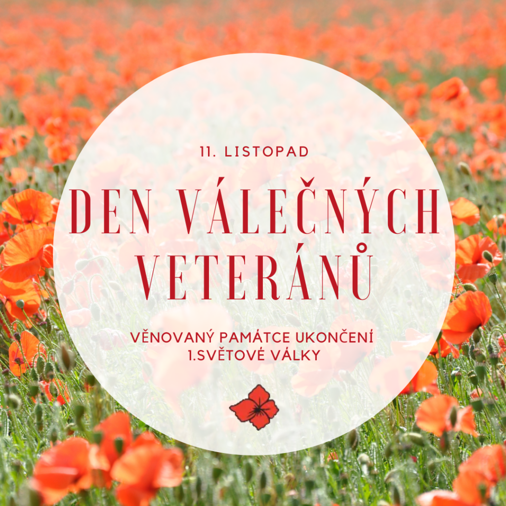 vlčí máky ke dni válečných veteránů