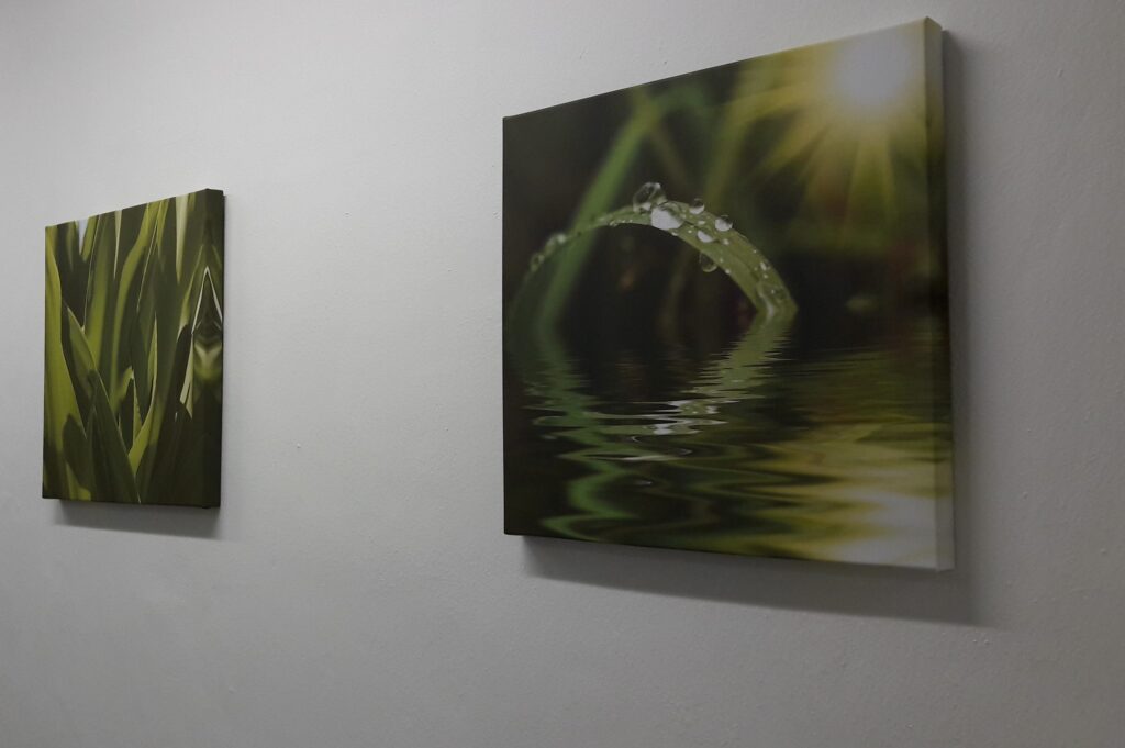 pracovní prostředí