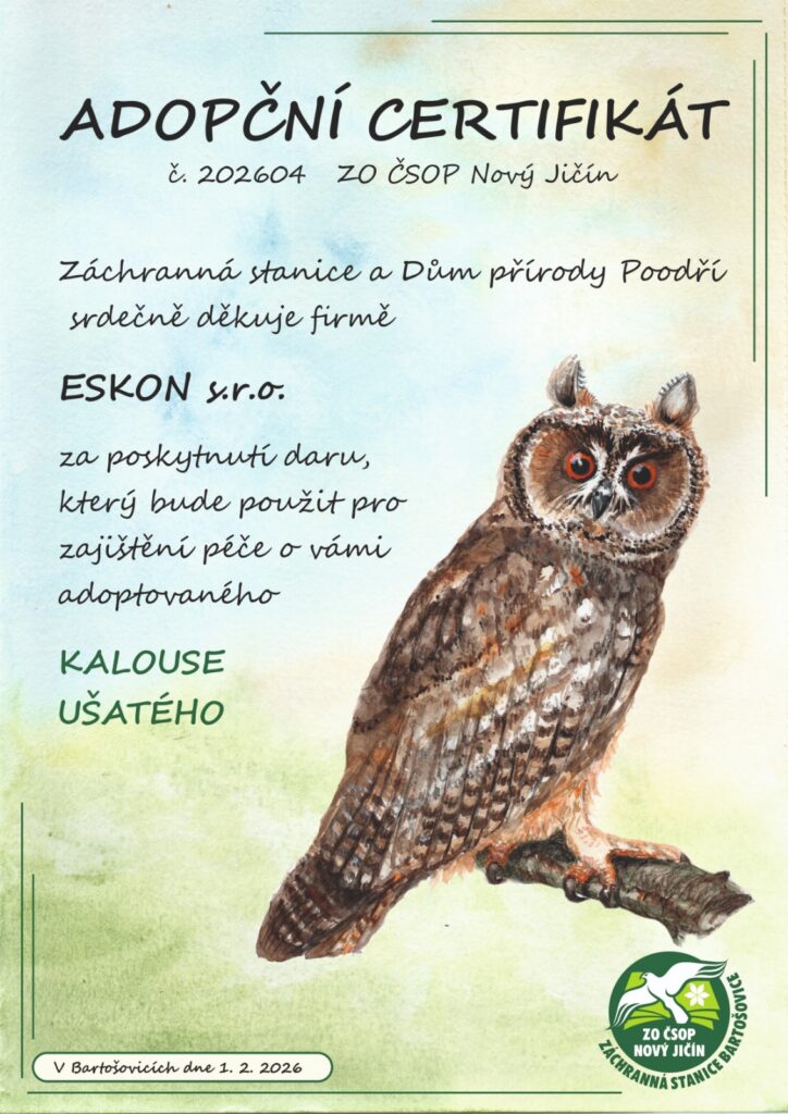 adopční certifikát kalouse ušatého
